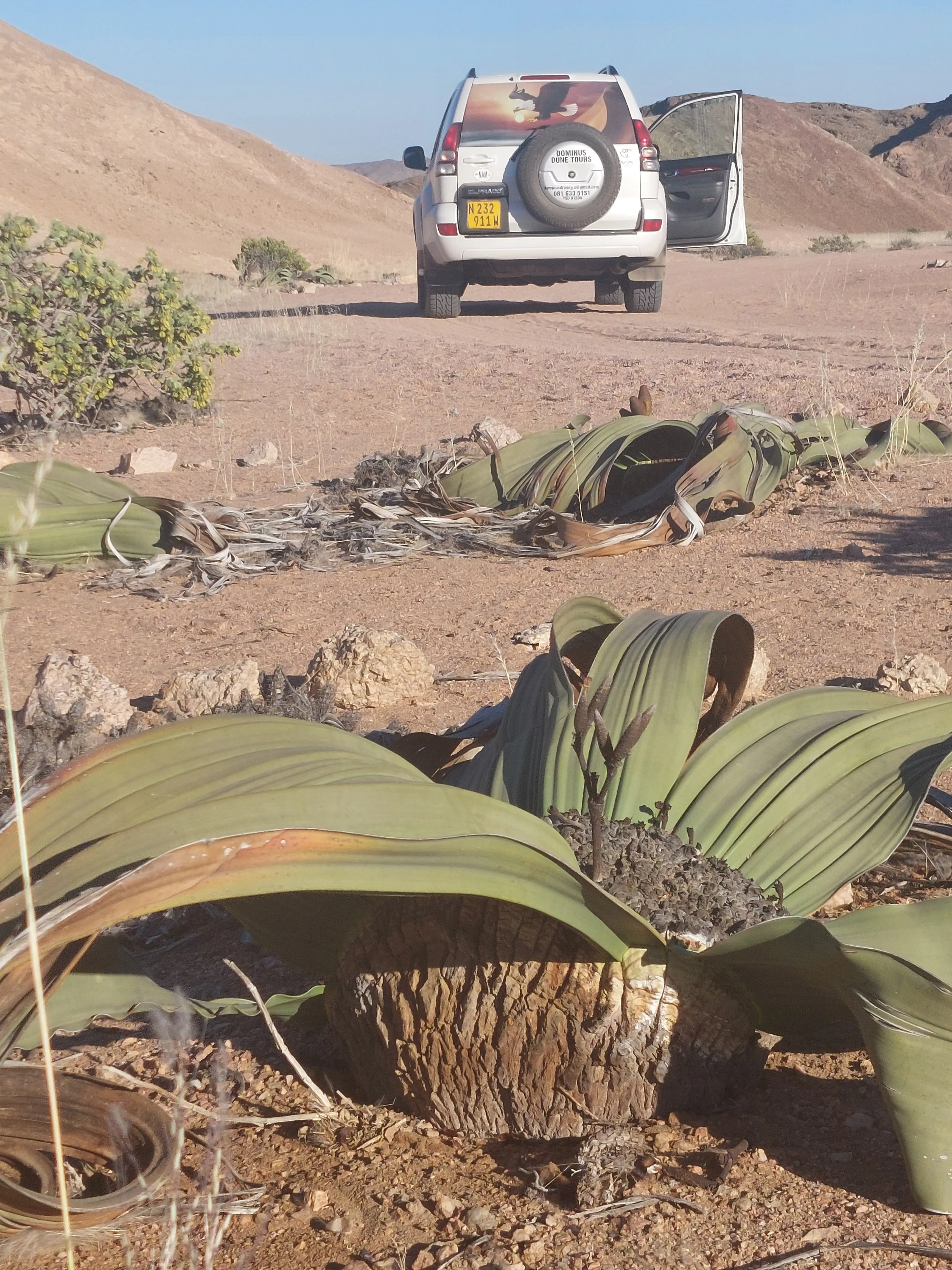 View of Moon Valley desert dunes with visitors and unique rock formations Namibia