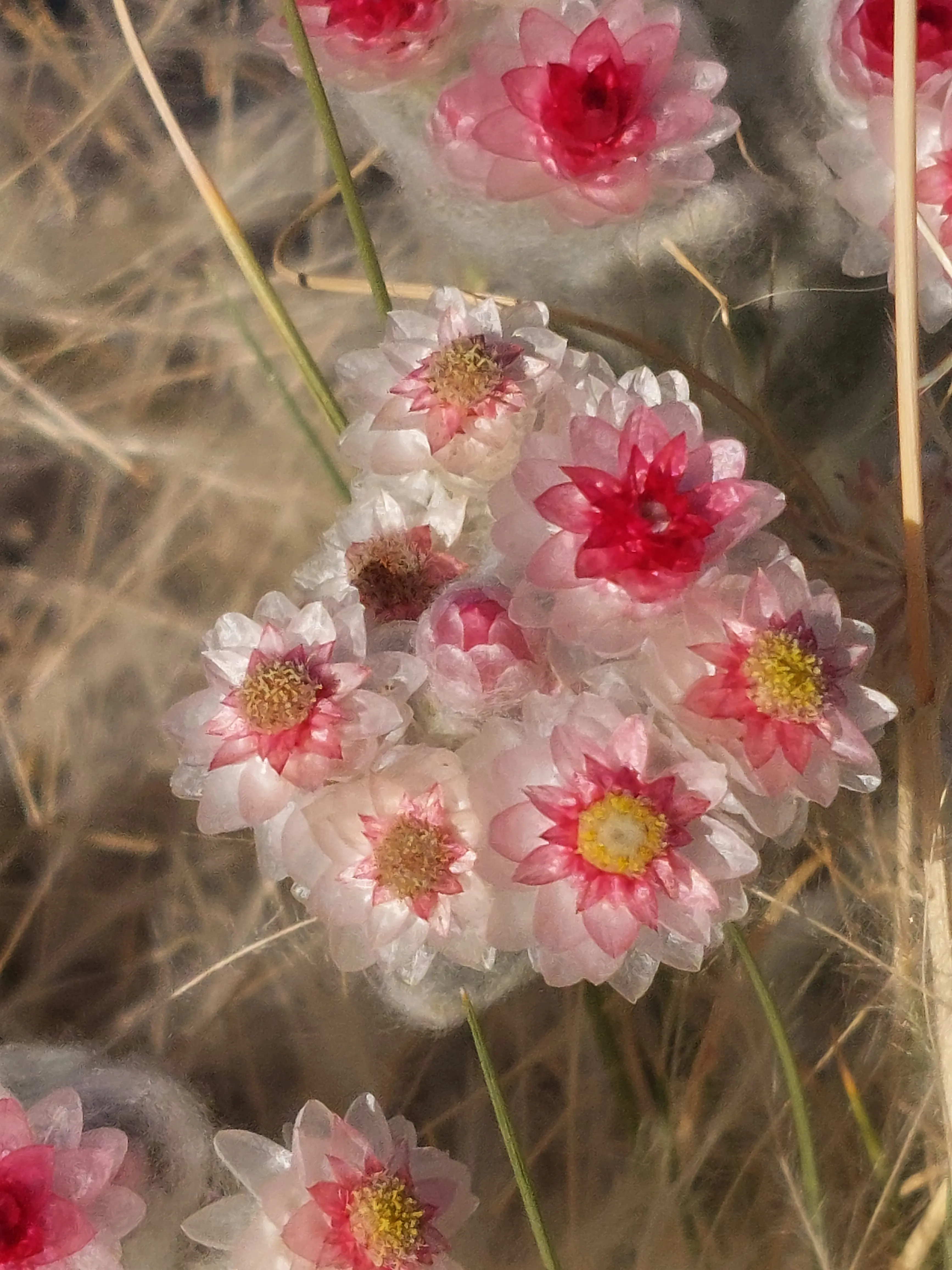 Nature and landscape of Moon Valley desert dunes Namibia - Dominus Dune Tours