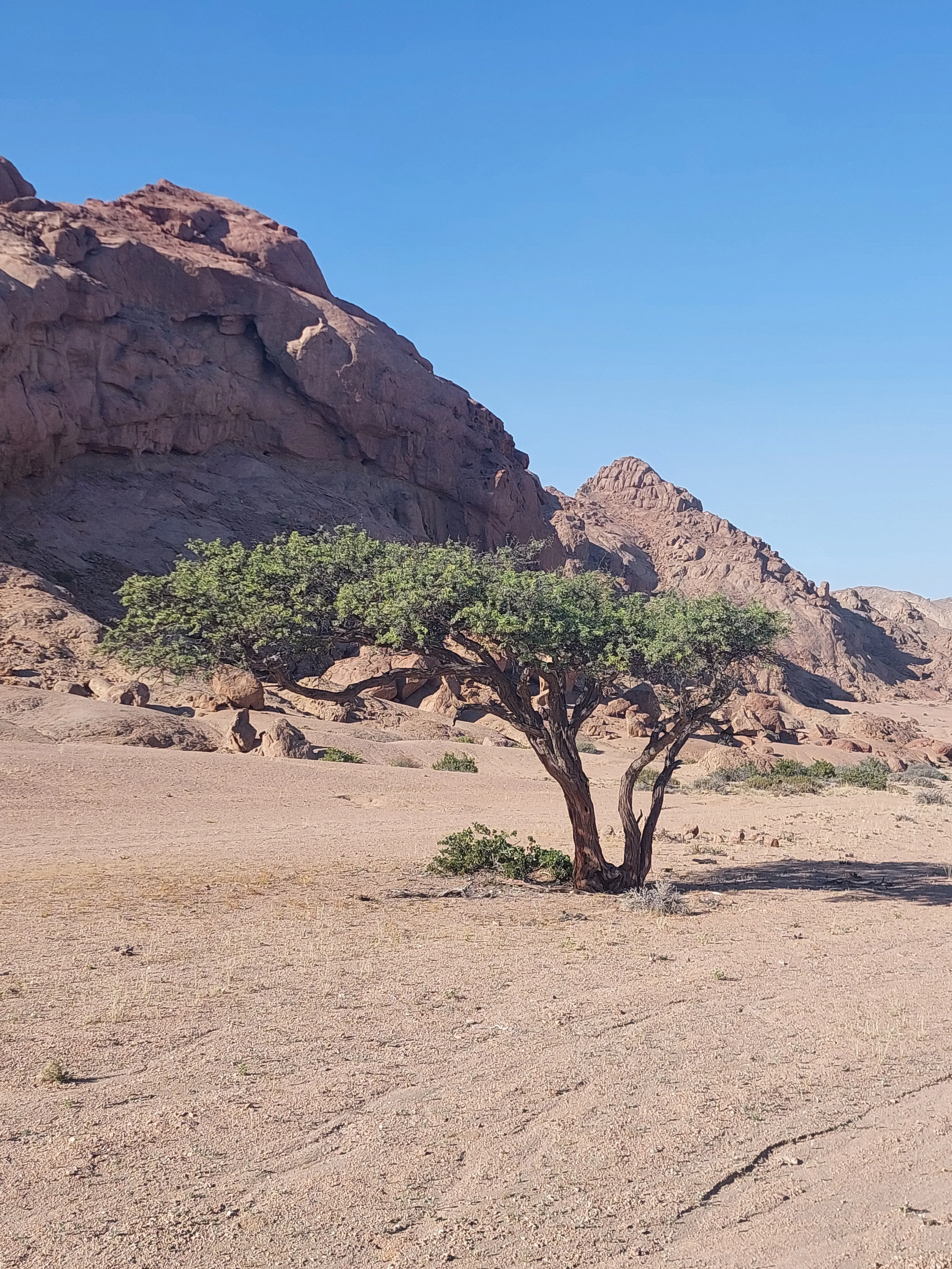 Moon Valley desert dunes scenery Namibia - Dominus Dune Tours