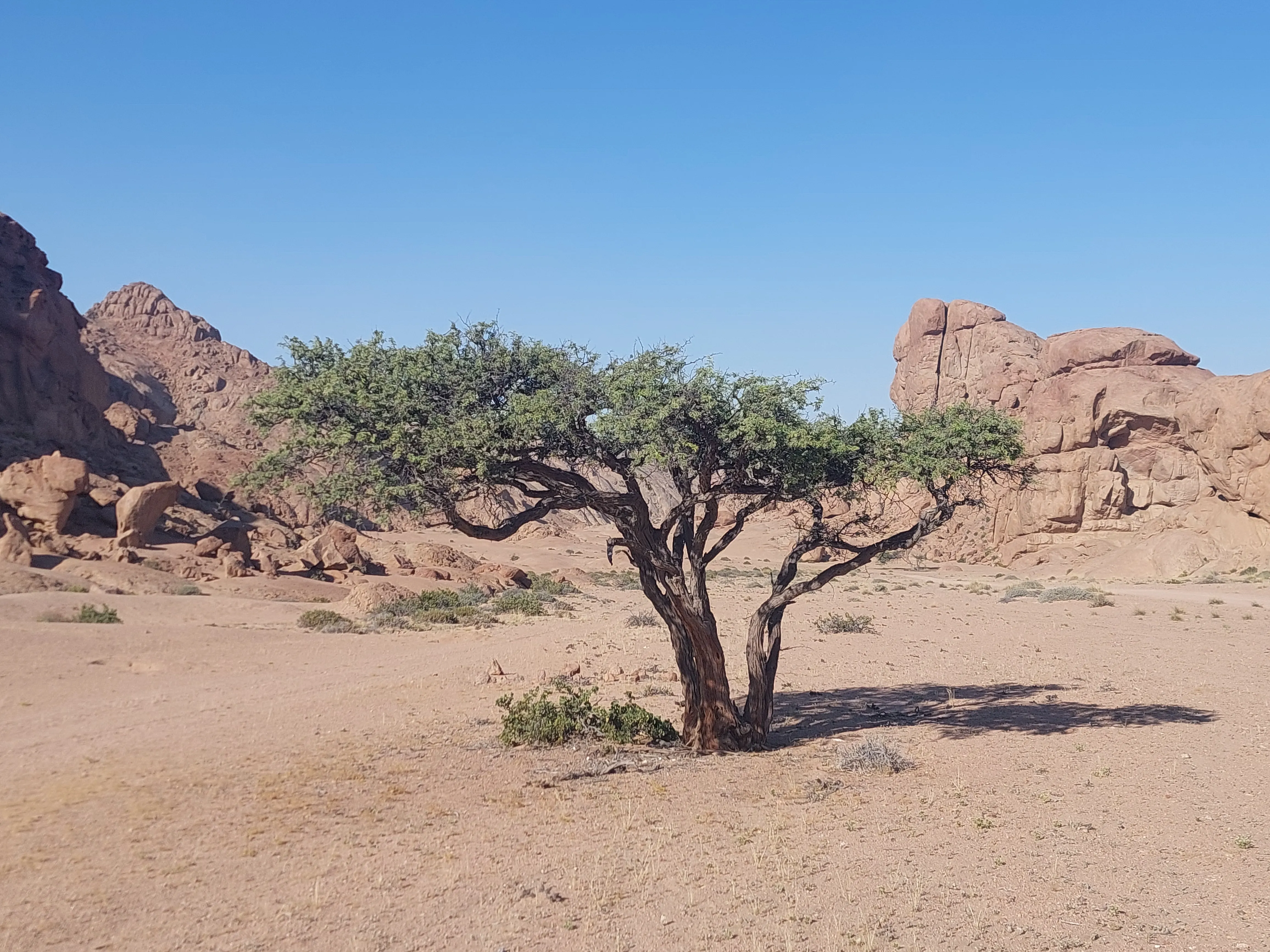 Explore Moon Valley desert dunes in Namibia - Dominus Dune Tours