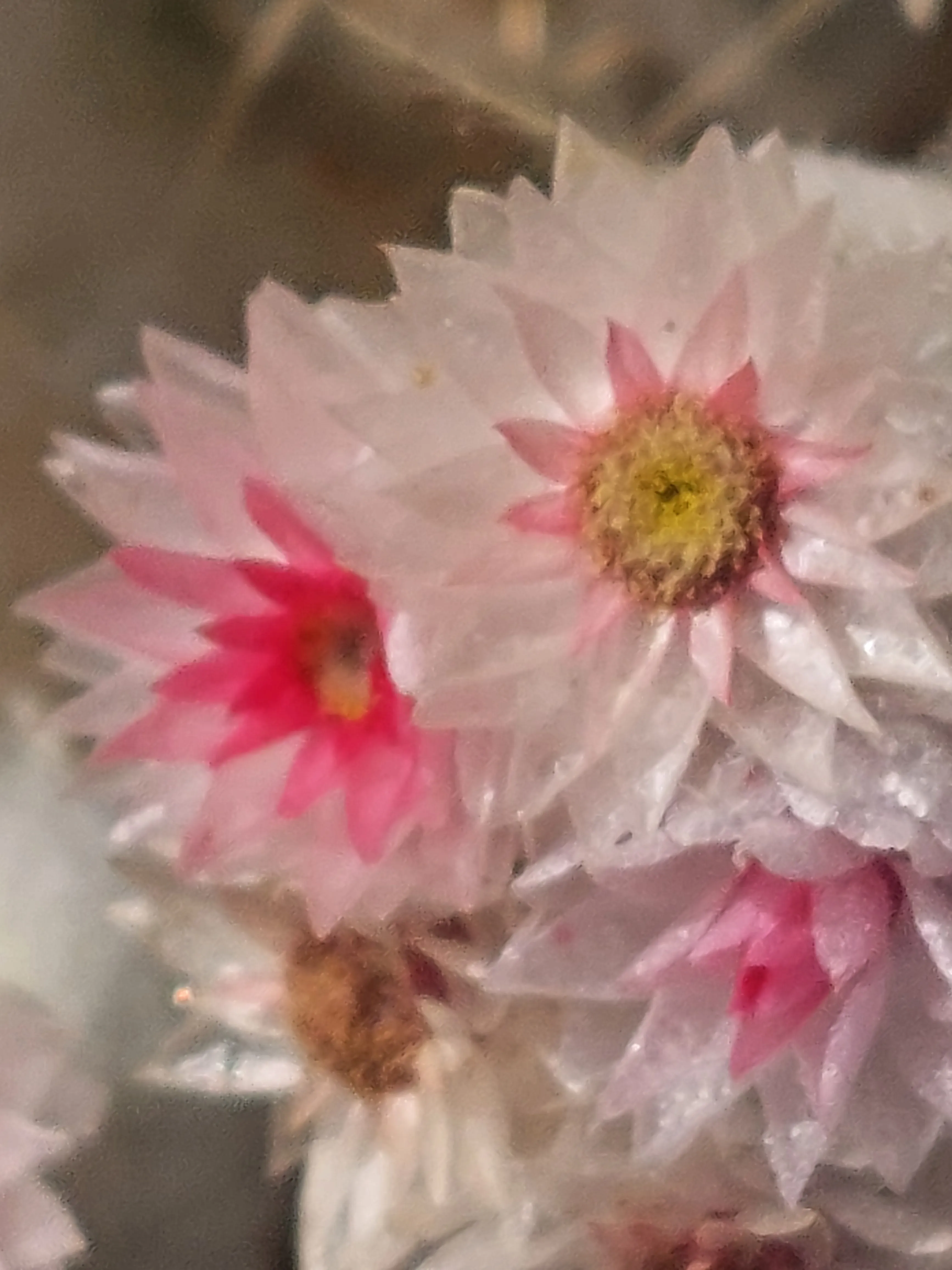 Guided tour around Moon Valley desert dunes Namibia - Dominus Dune Tours