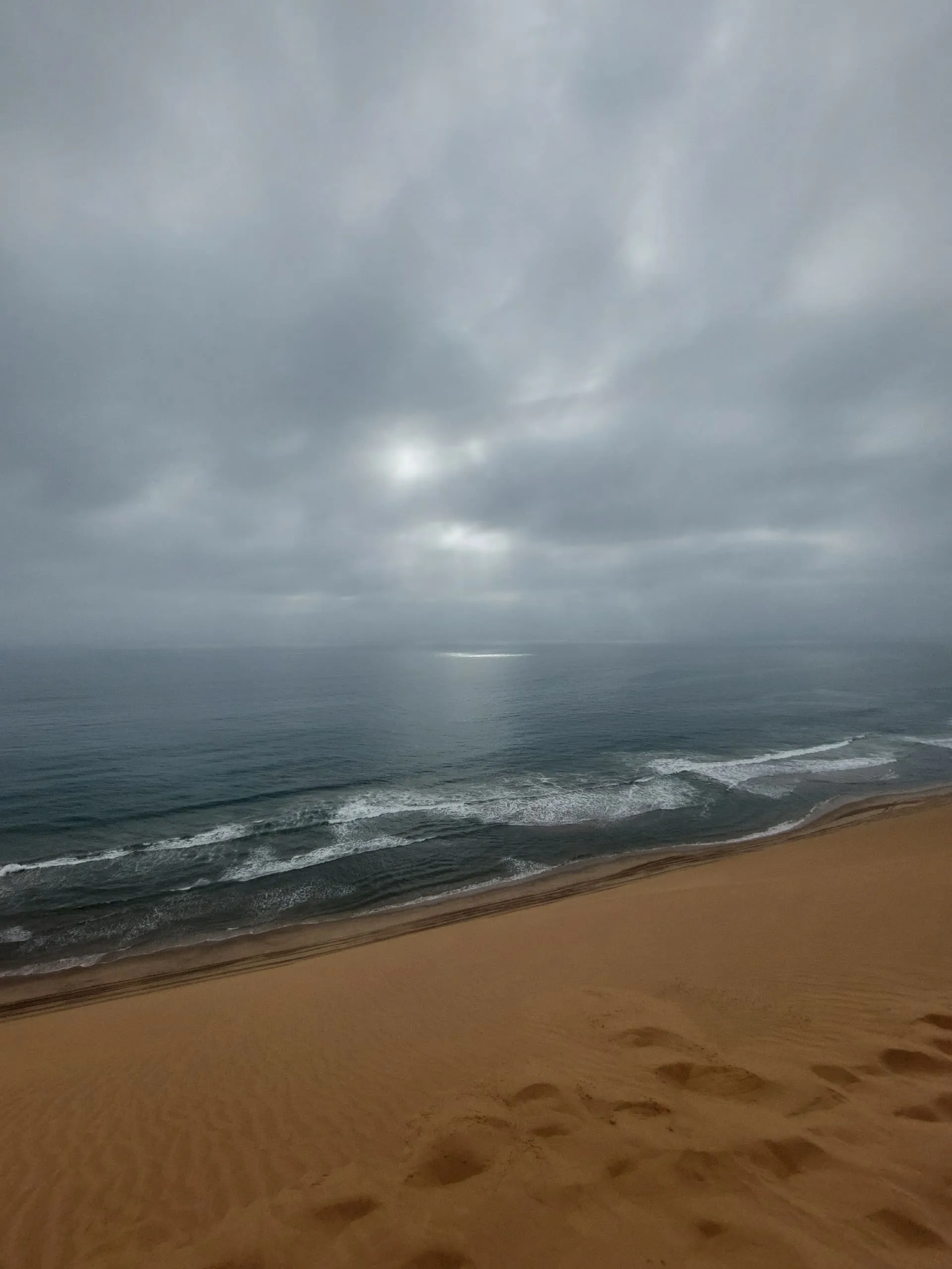 Guided dune tour exploring Sandwich Harbour's unique ecosystem
