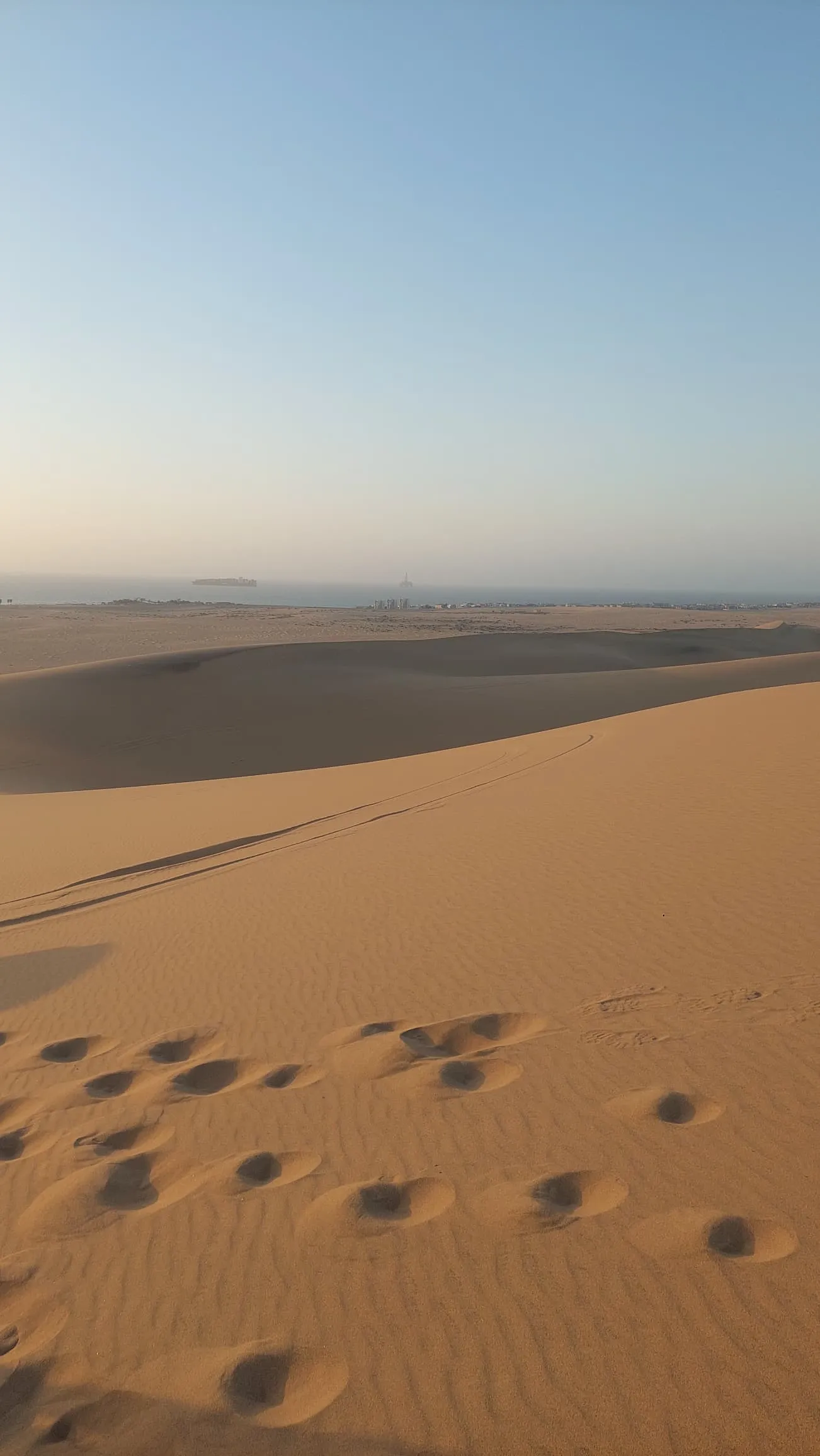 Coastal wildlife and dunes at Sandwich Harbour, Namibia's protected area