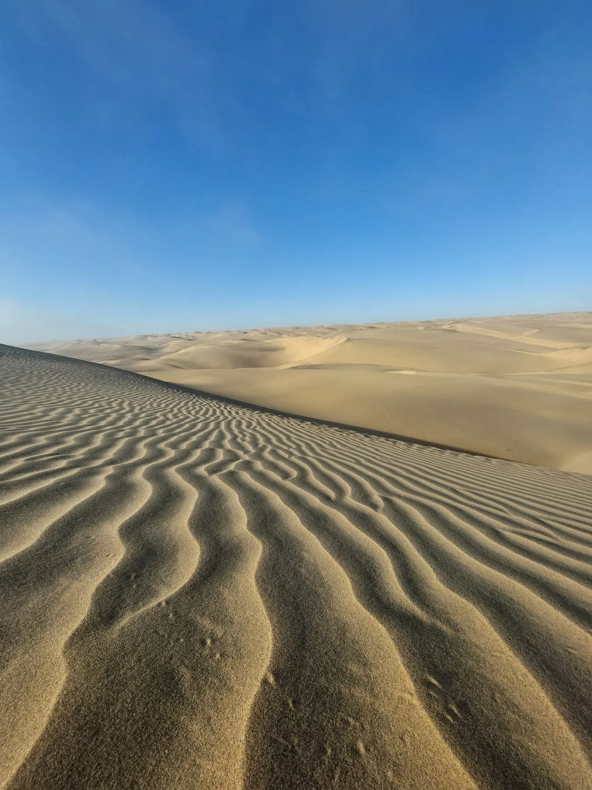 Sandwich Harbour's iconic red dunes and blue ocean meeting point
