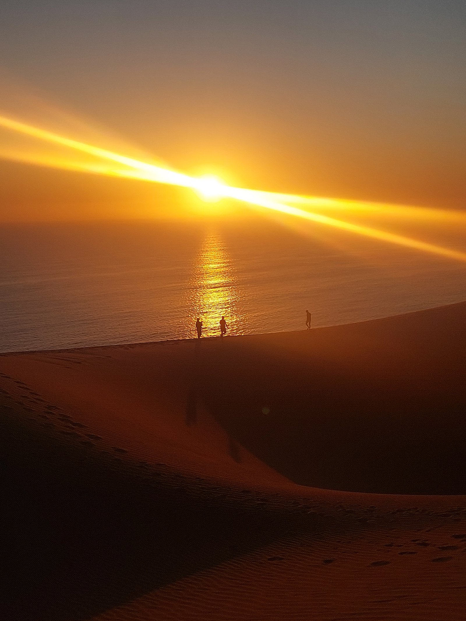 Tour group exploring the dramatic landscape where desert meets sea in Namibia